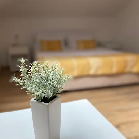 Apartment Ajna